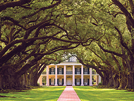 Southern plantation mansion with oak tree canopy, excursion destination for American Cruise Lines river cruises.
