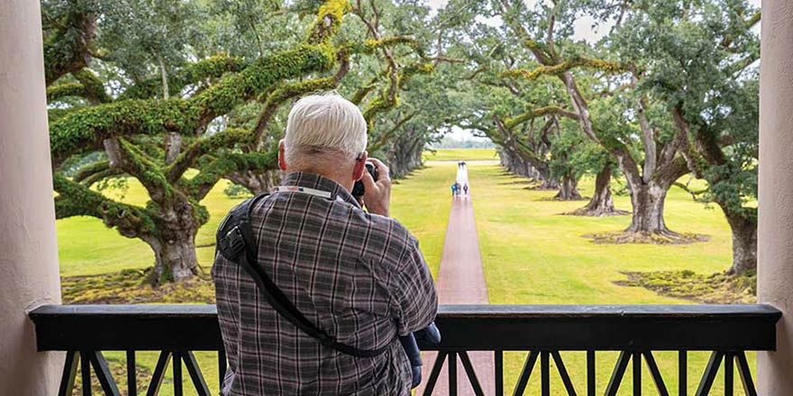 The oak-lined avenue at Oak Alley Plantation