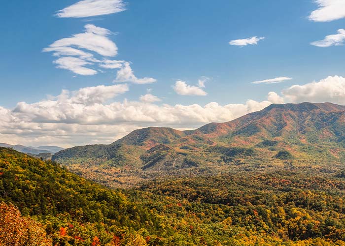 Layered mountain ridges and fall foliage in Great Smoky Mountains National Park experienced on a guided excursion connected to inland cruise travel
