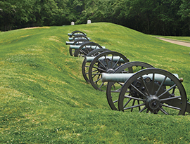 Row of historic cannons on grassy battlefield, trees in background, Civil War site excursion.