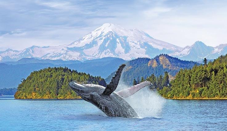 Puget Sound