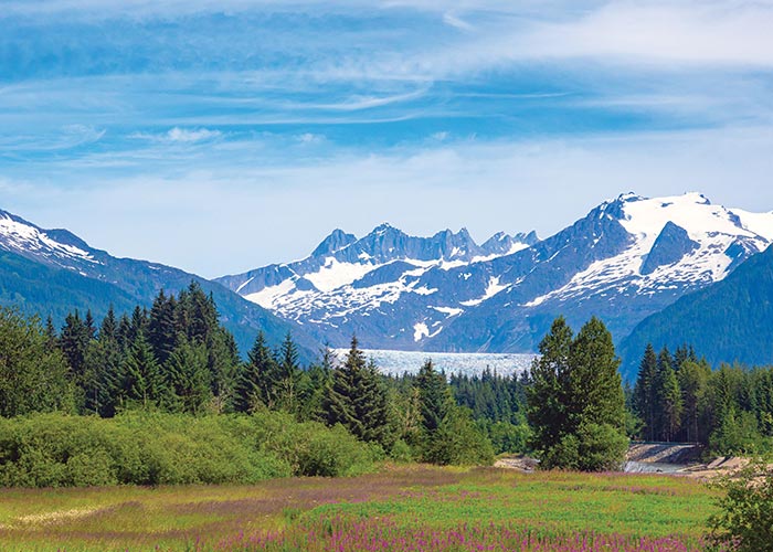 Scenic snow-capped mountains and an evergreen forest experienced during an Alaskan Explorer Cruise
