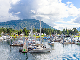 Scenic Alaska cruise destination shows a marina with sailboats surrounded by forested hills.
