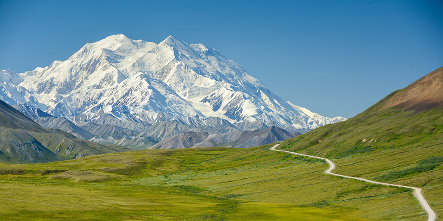 Snow-capped mountain with a winding road through green fields in Denali National Park.