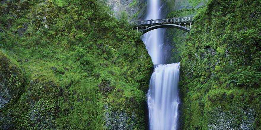 Scenic Multnomah Falls waterfall seen during an American Cruise Lines excursion.