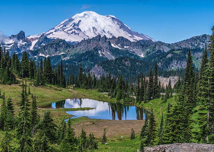 Subalpine lake reflecting Mount Rainier during a Pacific Northwest cruise excursion