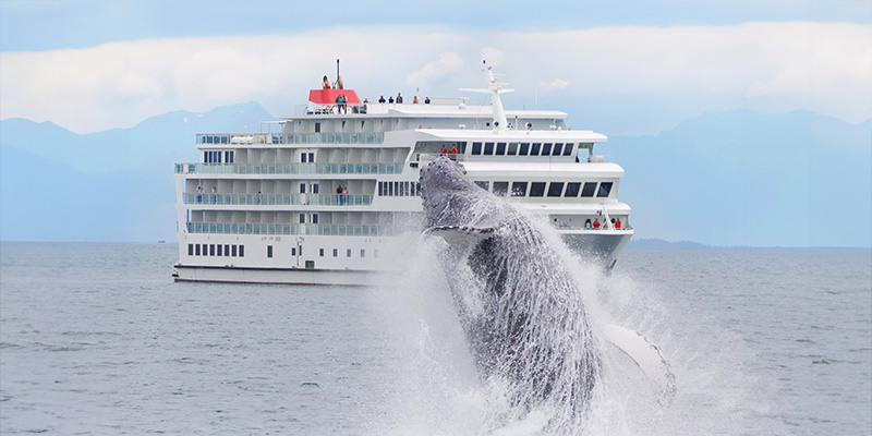 As American Constellation is sailing along the Inland Passage, there is a breaching humpback whale in the foreground with water splashing all around it. 