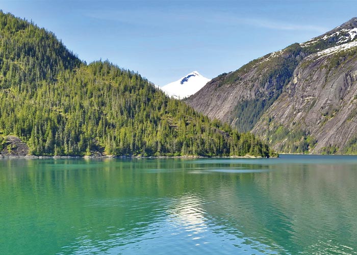 The American Constellation Coastal Cruise Ship sailing through the light green colored passage of Tracy Arm Fjord, surrounded by a cliff with a narrow waterfall.