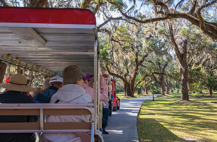 Passengers on an open-air tram enjoy an excursion under a canopy of grand live oak trees draped in Spanish moss during an American Cruise Lines Southeast Sea Islands tour.