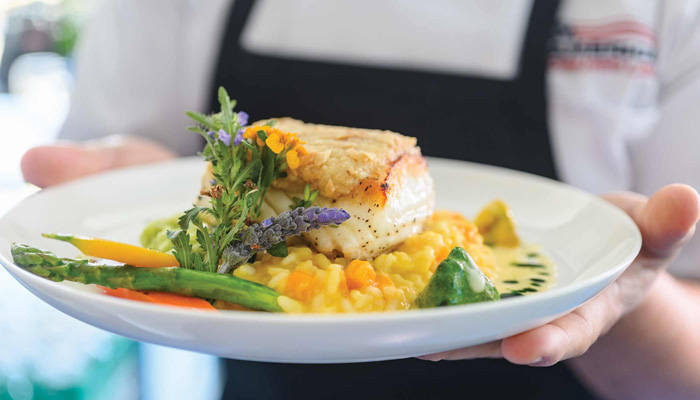 Halibut