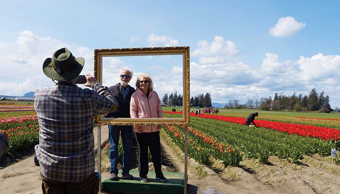 Tulip Town - 2