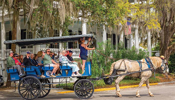 Carriage Excursion - Beaufort, SC 