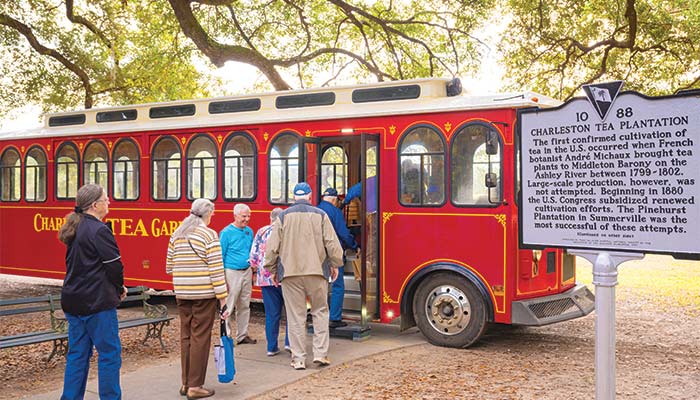 Charleston Trolley Excursion