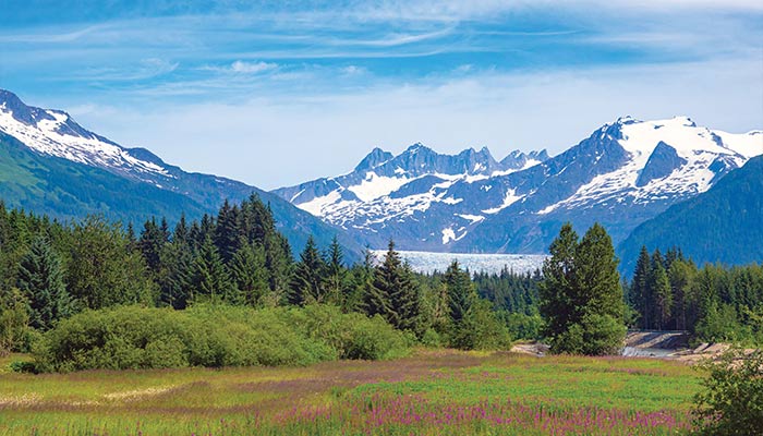 Mendenhall Glacier