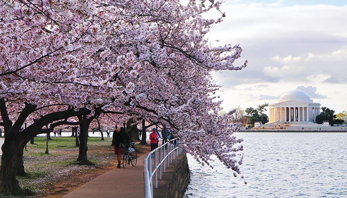 Washington, D.C. - 1