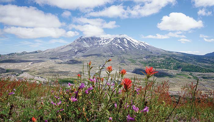 Mount St. Helens - 1