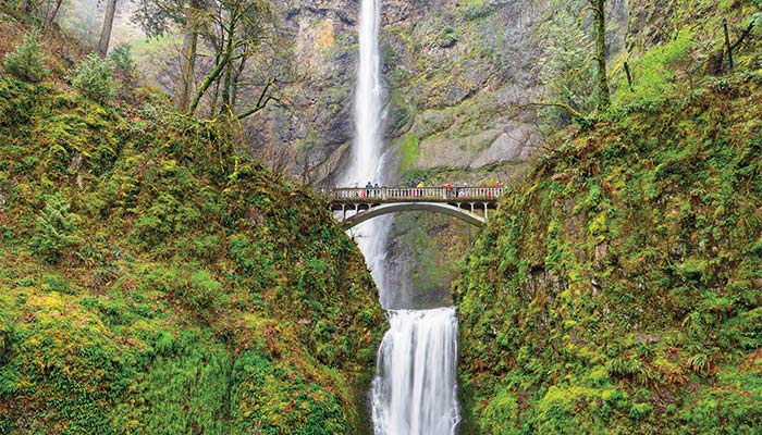 Multnomah Falls - 1