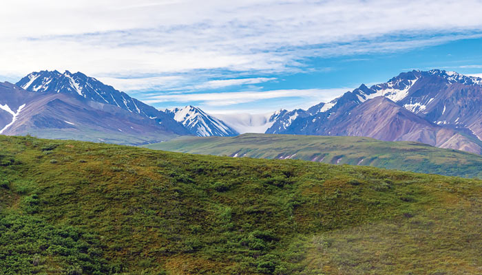 Denali National Park - 1