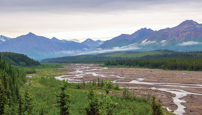 Denali National Park - 2