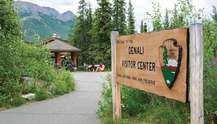 Denali National Park - 5