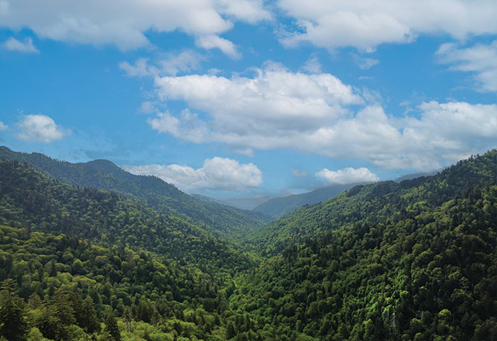 Great Smoky Mountains National Park - 2
