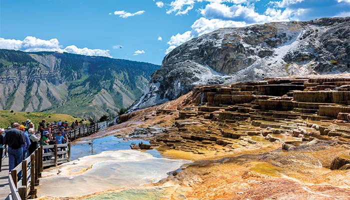 Mammoth Hot Springs