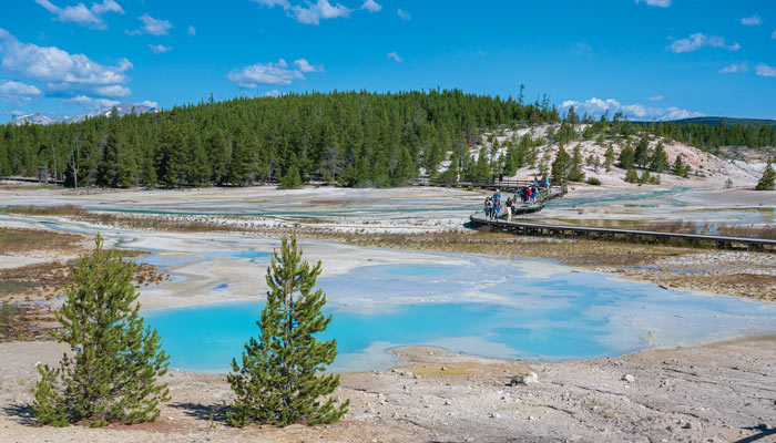 Norris Geyser Basin