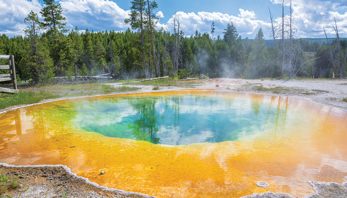 Upper Geyser Basin