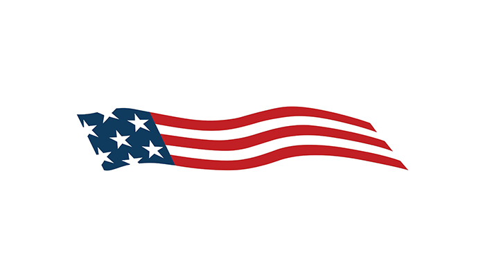 Flag Logo