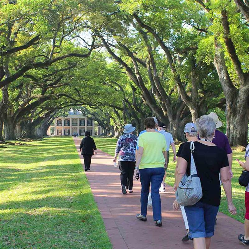 Cruise guests walk under oak trees toward a historic mansion on a river cruise excursion.