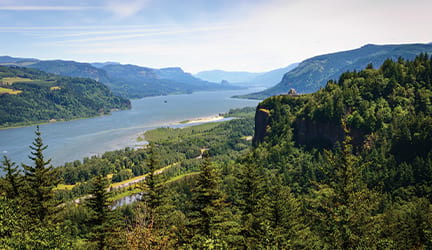 The winding Mississippi River surrounded by fresh green nature scenery.