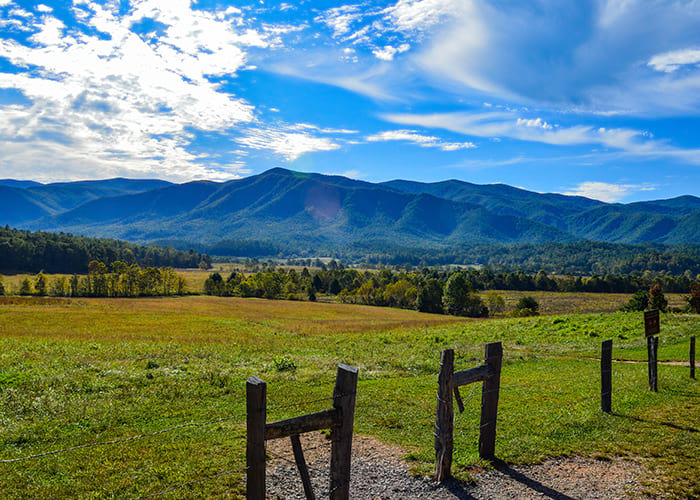 A view of the Great Smoky Mountains and the flatland below with several trees, accompanied by a bright yet cloudy sky.