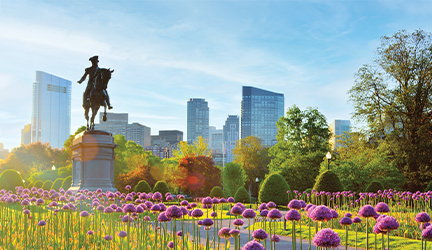 Vibrant purple flowers line the city landscape with the George Washington Statue, a statue of a man riding a horse and skyscrapers along the horizon.