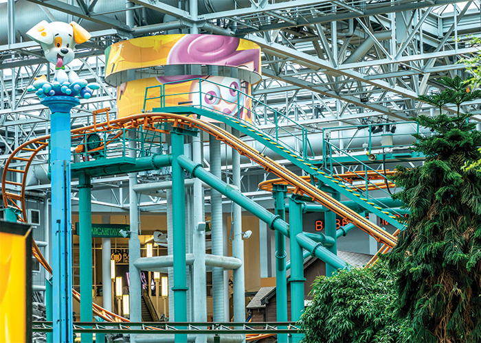 A green and orange rollercoaster at Mall of America in St. Paul, beside a tall, blue pole with a cartoon-style white dog on top.