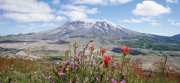 Free Airfare & Savings up to $2,000 Explore our Columbia & Snake River Cruises